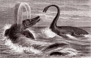 The Ichthyosaurus and the Plesiosaurus by Edouard Riou