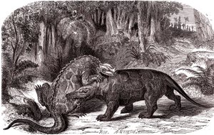 The Iguanodon and the Megalosaurus