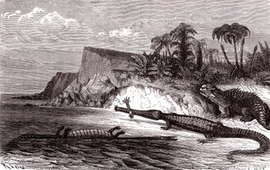 The Teleosaurus and the Hyleosaurus