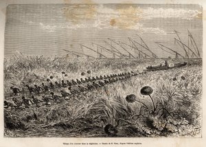 The hauling of a steamer through the vegetation rafts that invade the hollow canal to leave a marsh, etched after a drawing by E. Riou, illustrating an armed expedition in Central Africa, for the suppression of the black trade by Edouard Riou