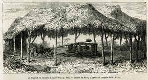 The Trapiche or Sugar Mill in Panche (Colombia) (drawing by Riou, to illustrate the story of Equinoxiale America by Ed. Andre, 1875-1876) by Edouard Riou