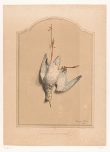 Dead Redshank Hanging by a Leg (Museum of the Hunter)