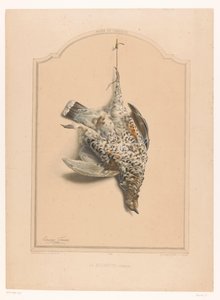Dead Female Grouse Hanging by a Leg