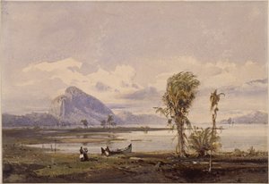 View of the Lagoa Rodrigo de Freitas in Rio de Janeiro