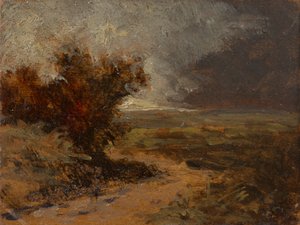 Thunderstorm Landscape