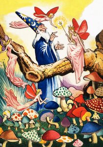 Wizard in the Mushroom Forest