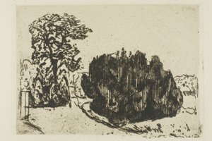 Evening in the Park