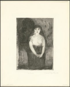 Study of a Model