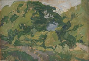 Landscape, Christiansø