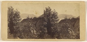 The Glen at Cornwall