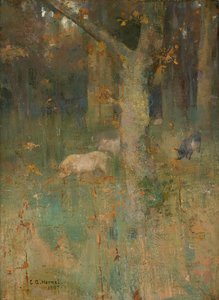 Pigs in the Wood