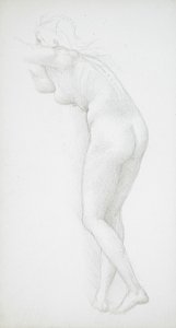 Female Nude Seen from the Rear