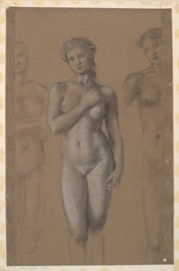 Female Nude - Three Studies, Possibly for Venus by Edward Burne Jones