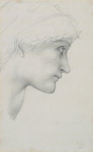 Head by Edward Coley Burne Jones