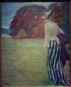 An Autumn Walk