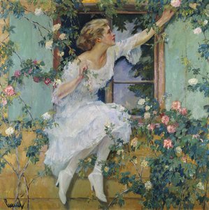 Wild Roses