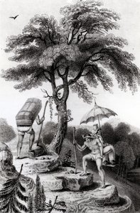 View of the Pass from Quindio, illustration from 