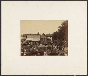 Elephants Walk Through Town, Maple City