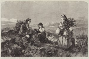 Heather Bells by Edward John Cobbett