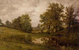 Pond Near Whittems Farm, Near Coundon