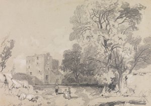 A Ruined Tower House