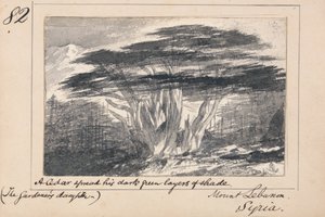Mount Lebanon, Syria - A Cedar spread his dark green layers of shade by Edward Lear