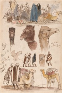 Outside the Walls of Suez, 8:30 am, 17 January 1849 by Edward Lear