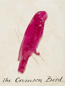 The Crimson Bird, from Sixteen Drawings of Comic Birds by Edward Lear