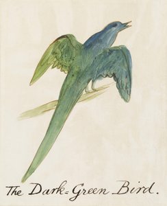 The Dark Green Bird, from Sixteen Drawings of Comic Birds