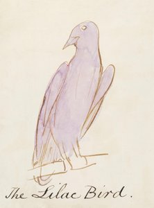 The Lilac Bird, from Sixteen Drawings of Comic Birds by Edward Lear