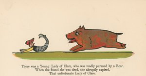 There was a Young Lady of Clare, who was Madly Pursued by a Bear from 