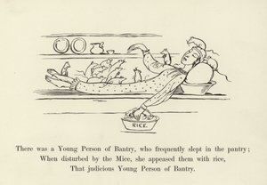 There was a Young Person of Bantry, who Frequently Slept in the Pantry by Edward Lear