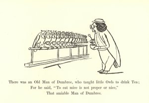There Was an Old Man of Dumbree, Who Taught Little Owls to Drink Tea by Edward Lear