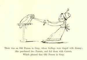 There Was an Old Person in Gray, Whose Feelings Were Tinged with Dismay by Edward Lear