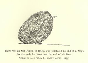 There was an Old Person of Brigg, who Purchased No End of a Wig by Edward Lear