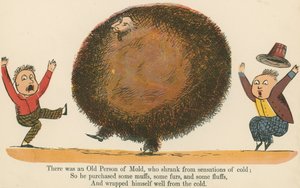 There was an Old Person of Mold, who shrank from sensations of cold, from 