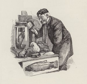 Illustration for The Water-Babies by Charles Kingsley by Edward Linley (after) Sambourne