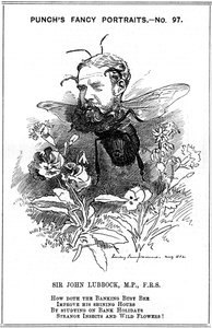 John Lubbock, First Baron Avebury, English Banker, Archaeologist, Naturalist and Politician