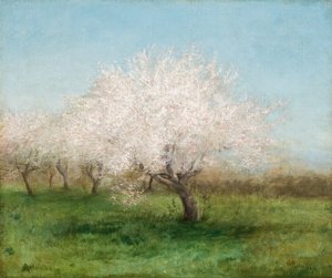 Apple Trees in a Meadow