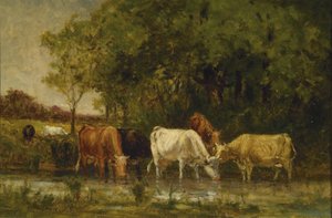 Cows in Landscape