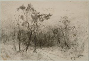 Landscape with Path (#51)