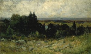 Untitled (landscape, fields with rocks and trees)
