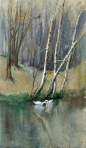 Untitled Wood Scene with Birch Trees and Ducks