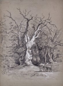 Landscape with Tree by Edward Pretty