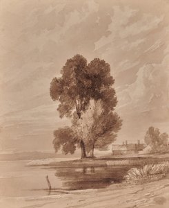 Landscape with trees