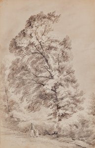 Landscape with trees by Edward Pretty