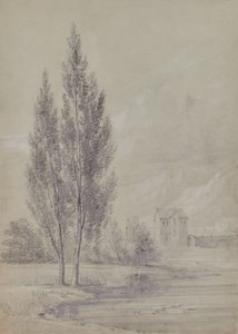 Landscape with Trees Near Lake