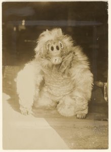 In the Wolf Mask by Edward S. Curtis