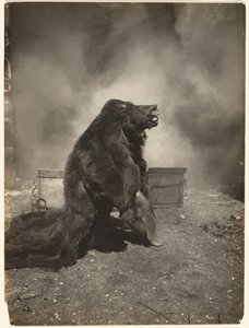 Let the Tricky Black Bear Do His Dance by Edward S. Curtis