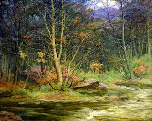 A Woodland Rivulet